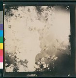 ���Ƚs��:12-4716