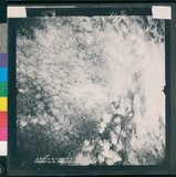 ���Ƚs��:12-4729