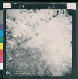 ���Ƚs��:12-4729