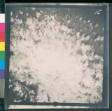 ���Ƚs��:12-4788