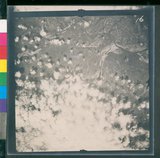 ���Ƚs��:12-4788