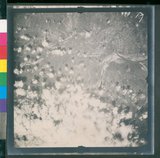 ���Ƚs��:12-4788