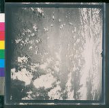 ���Ƚs��:12-4788