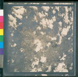 ���Ƚs��:12-4788