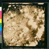 ���Ƚs��:12-4798