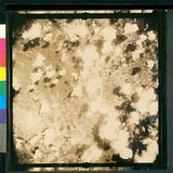 ���Ƚs��:12-4798