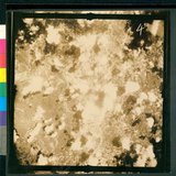 ���Ƚs��:12-4798