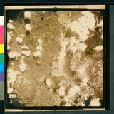 ���Ƚs��:12-4798