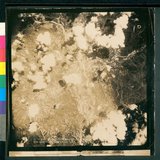 ���Ƚs��:12-4798