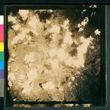 ���Ƚs��:12-4798