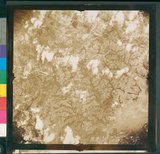 ���Ƚs��:12-4814