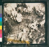 ���Ƚs��:12-4814