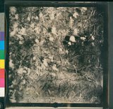 ���Ƚs��:12-4814