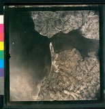 ���Ƚs��:12-4833