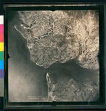 ���Ƚs��:12-4833