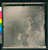 ���Ƚs��:12-4833