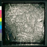 ���Ƚs��:12-4844