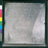 ���Ƚs��:12-4850