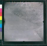 ���Ƚs��:12-4850