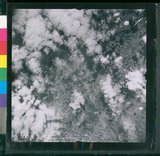 ���Ƚs��:12-4850