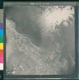 ���Ƚs��:12-4859