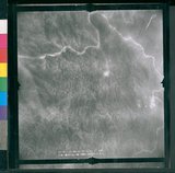 ���Ƚs��:12-4869