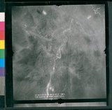 ���Ƚs��:12-4869