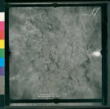 ���Ƚs��:12-4869