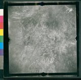 ���Ƚs��:12-4869