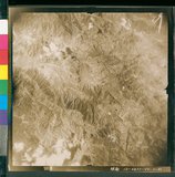 ���Ƚs��:12-4871