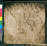 ���Ƚs��:12-4871