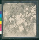 ���Ƚs��:12-4877