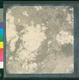 ���Ƚs��:12-4877