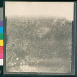 ���Ƚs��:12-4877