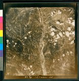 ���Ƚs��:12-4880