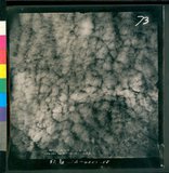 ���Ƚs��:12-4880