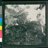 ���Ƚs��:12-4882