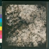 ���Ƚs��:12-4882