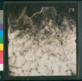 ���Ƚs��:12-4882