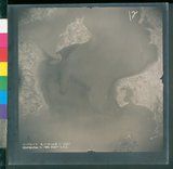 ���Ƚs��:12-4894