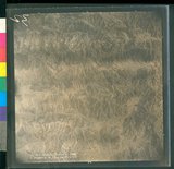 ���Ƚs��:12-4907