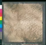 ���Ƚs��:12-4915