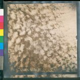 ���Ƚs��:12-4915