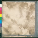 ���Ƚs��:12-4915