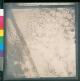 ���Ƚs��:12-4915