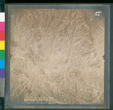 ���Ƚs��:12-4915