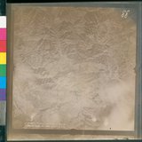 ���Ƚs��:12-4915