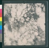 ���Ƚs��:12-4916