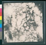 ���Ƚs��:12-4916