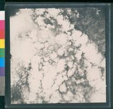 ���Ƚs��:12-4916